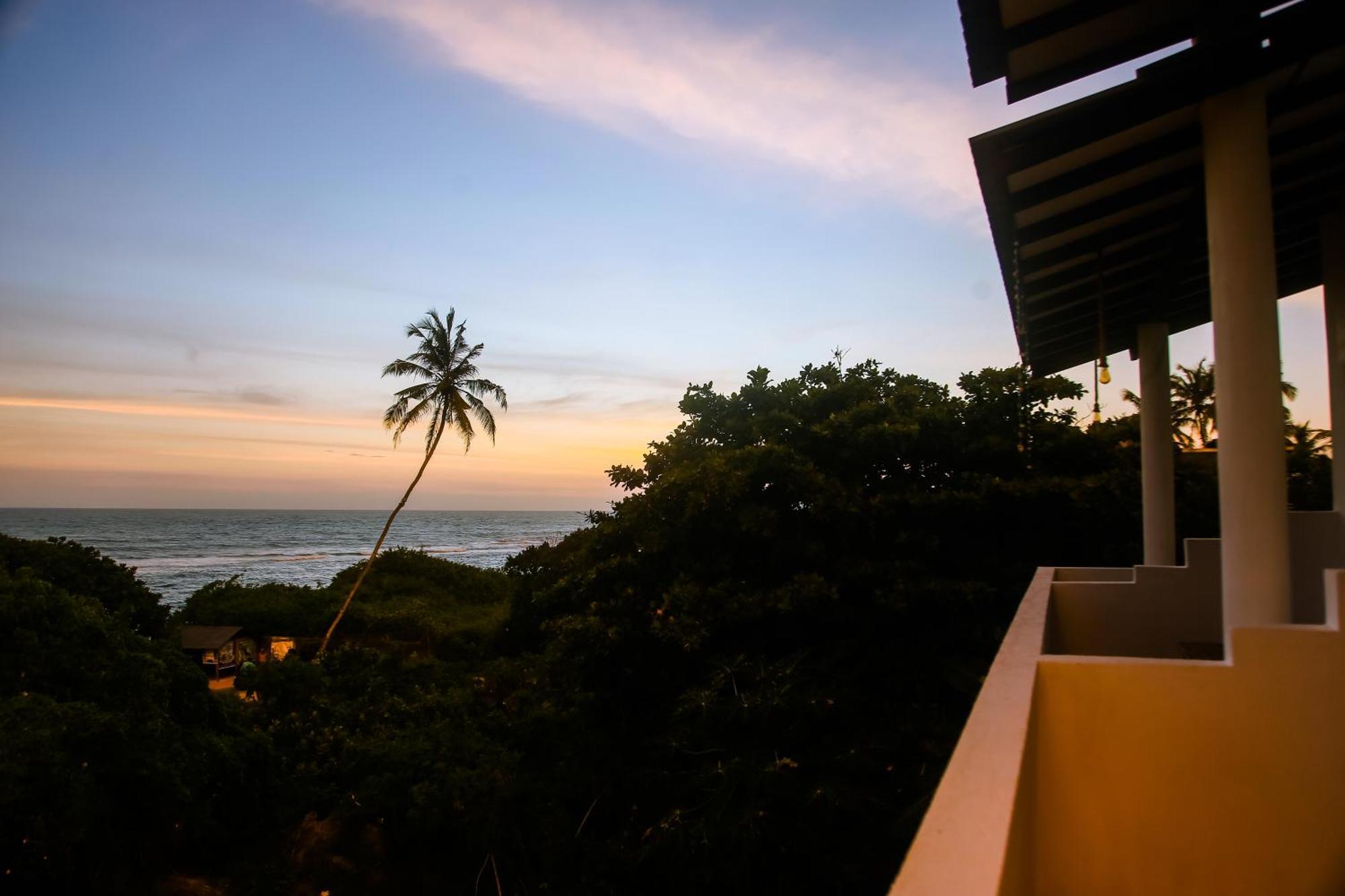 Hotel Mirissa Turtle Point Guest Extérieur photo